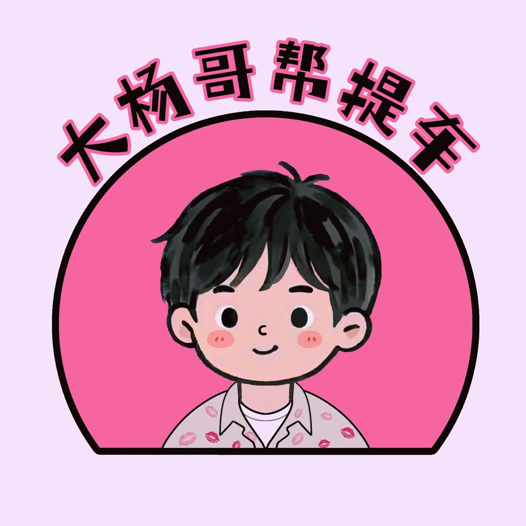 大扬哥帮提车