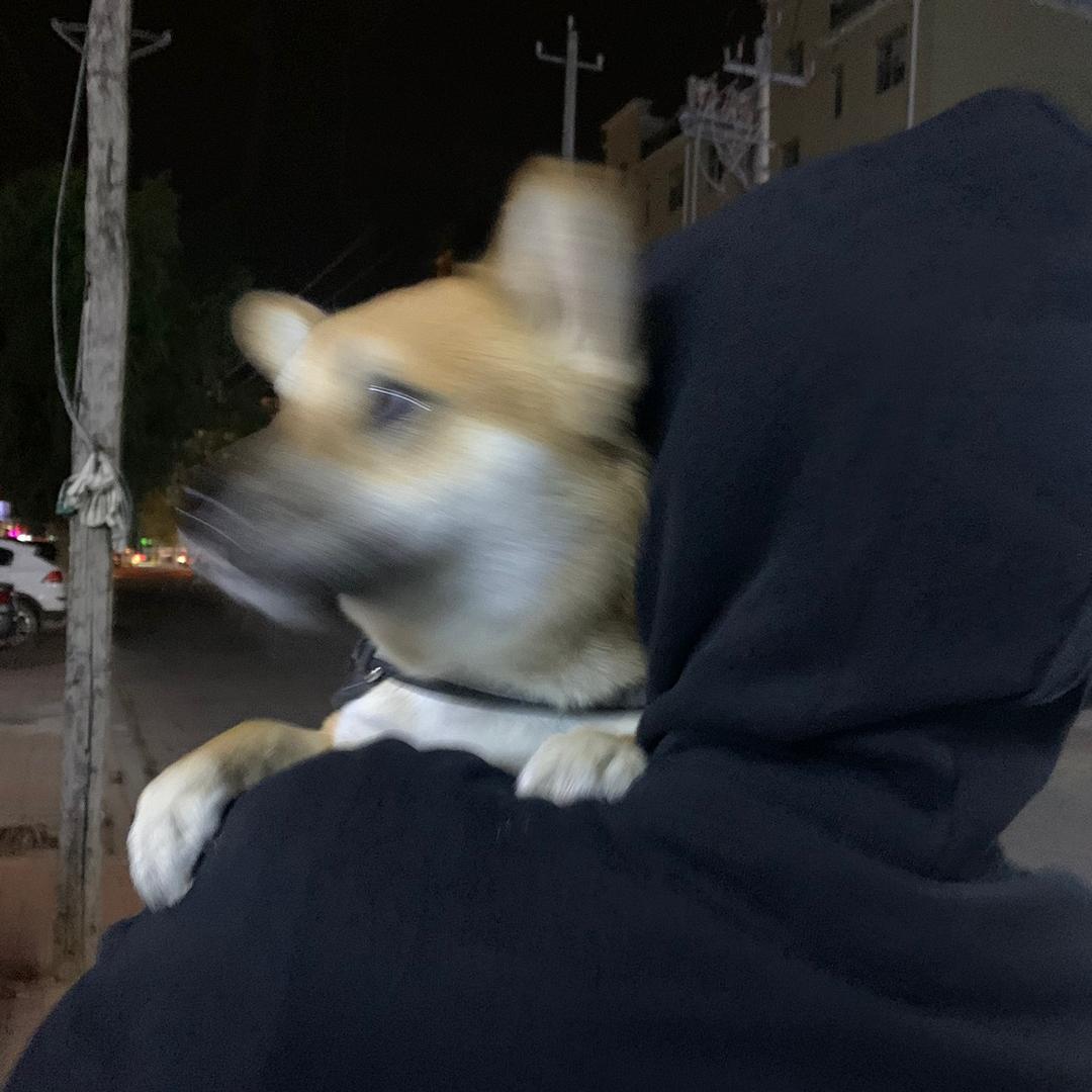 噜噜.