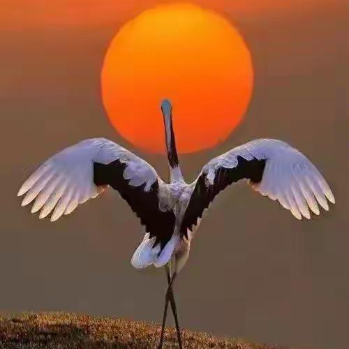 一生只牵你的手