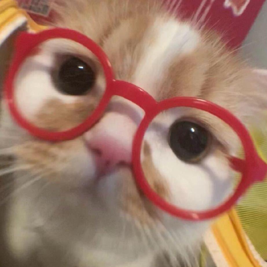 岁眠眠
