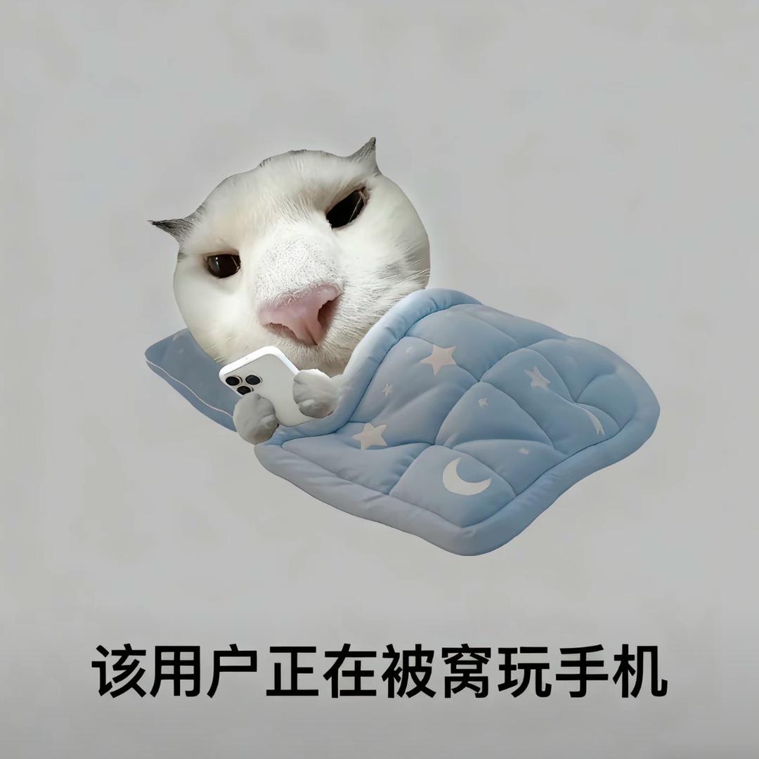 鱼块.