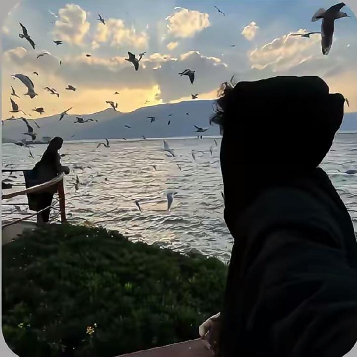就是个菜鸟