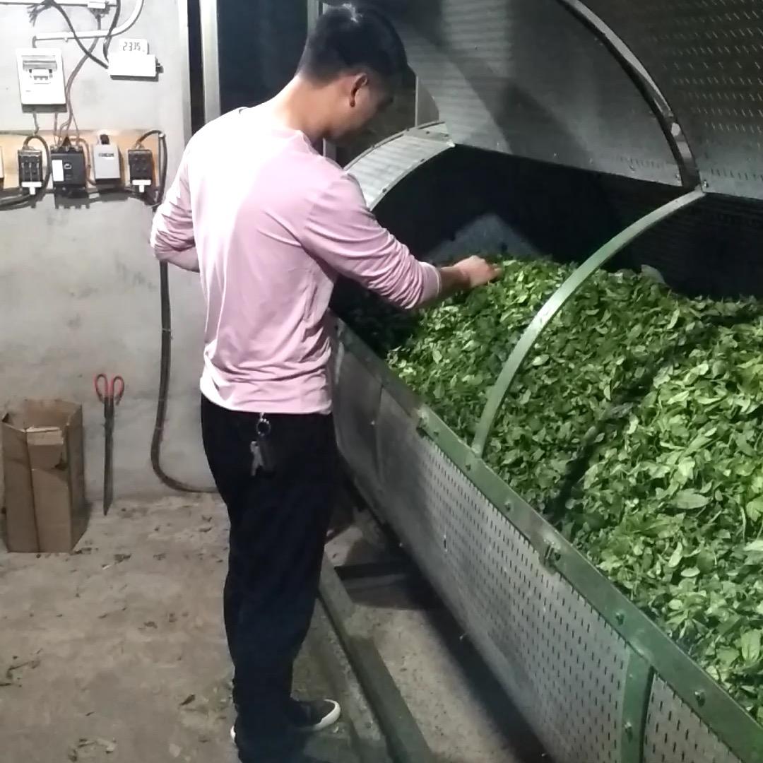 庙仔岩茶