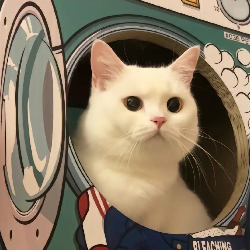 小蓝猫