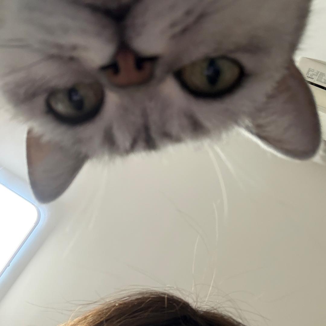 陪我看四十四次日落