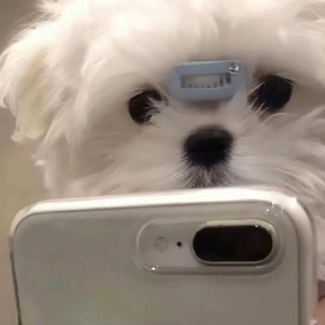 悲伤小狗•̩̩ᯅ•̩̩