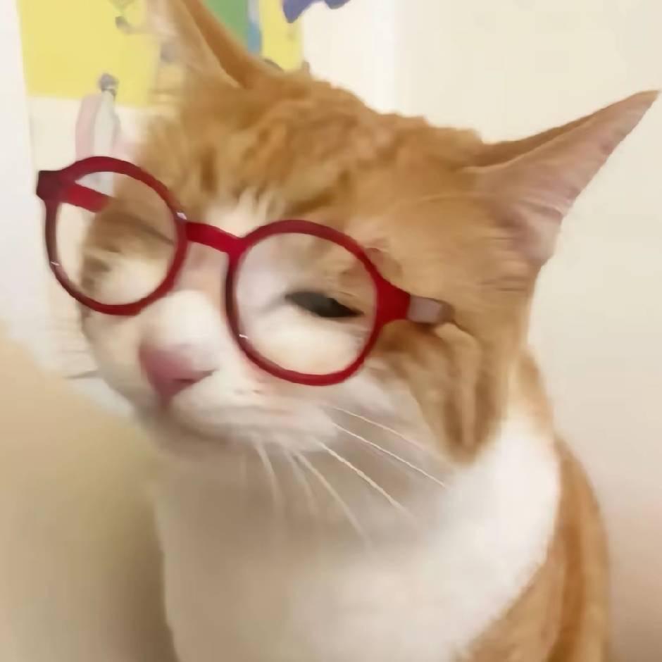 雾就散.