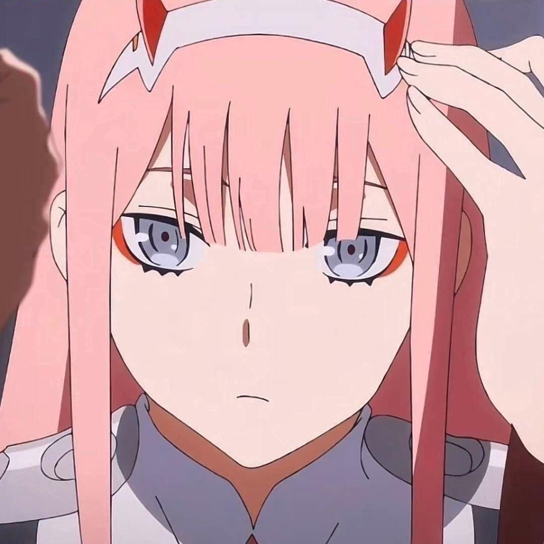 我莓上镜心
