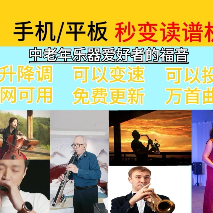 🎺退休后的乐器生活