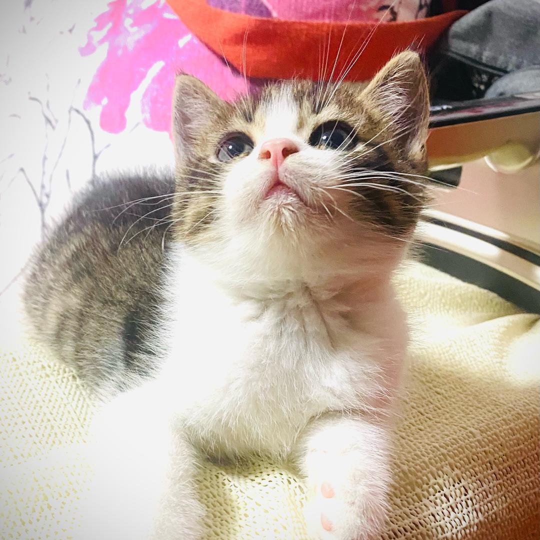 小发财