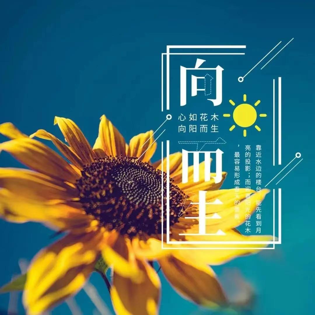 思念来袭