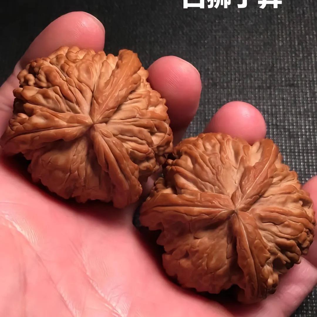 寮哩青皮