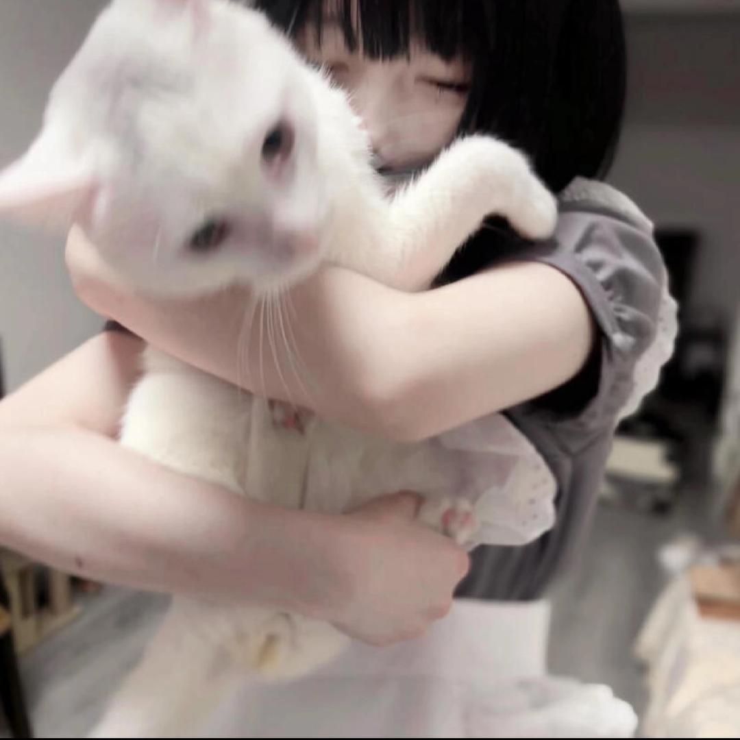 入冬