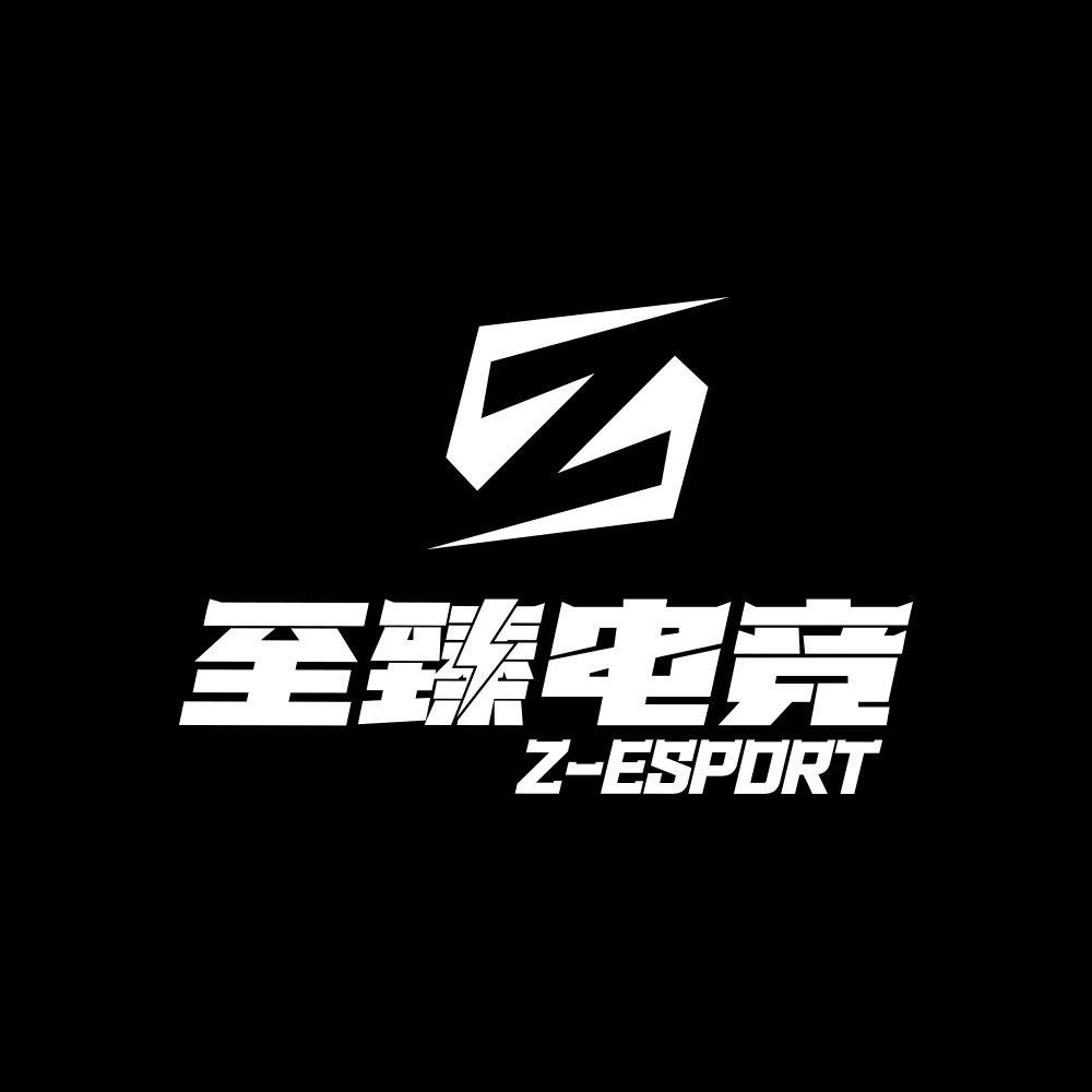至臻电竞