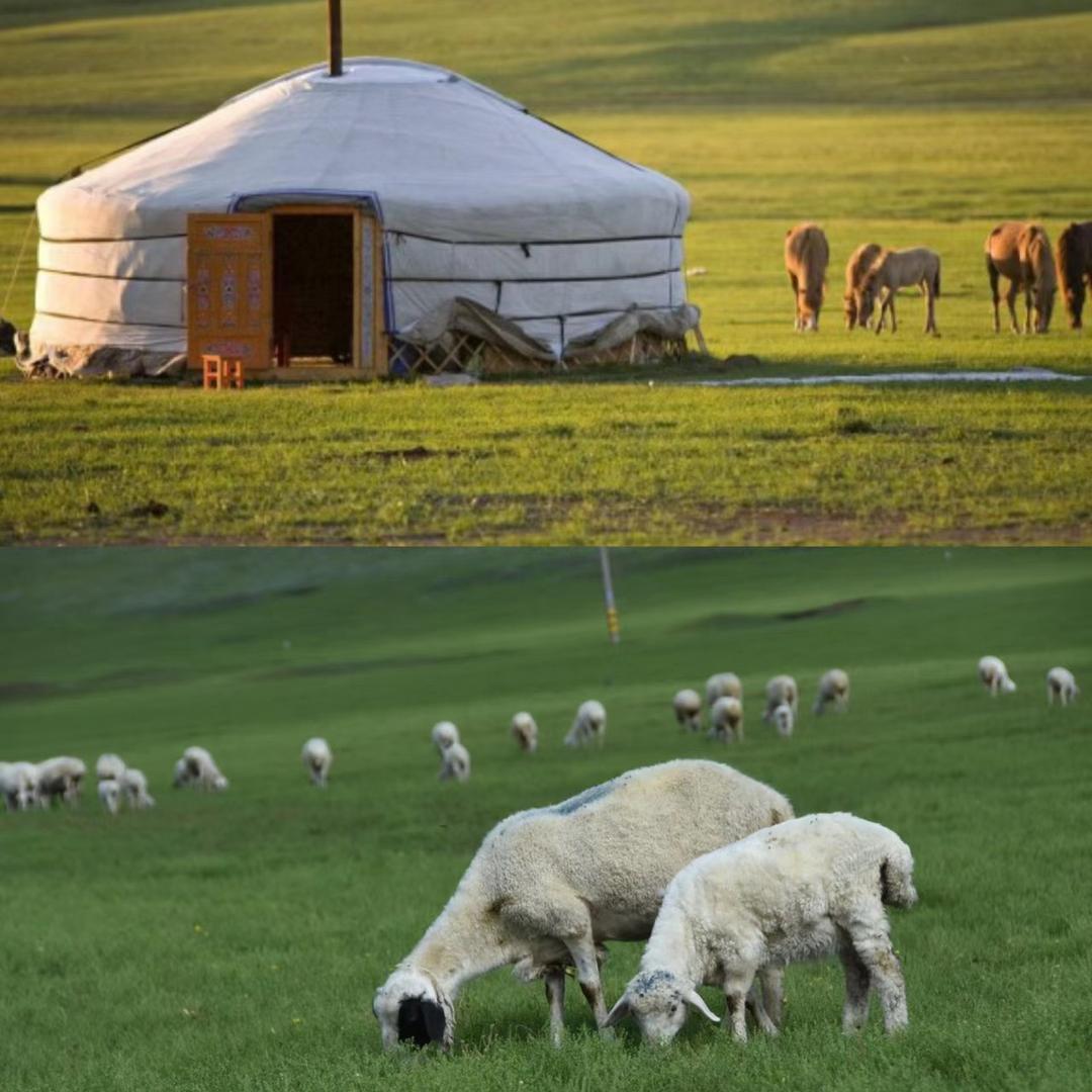 小牦牛扎西卓玛生鲜专卖店
