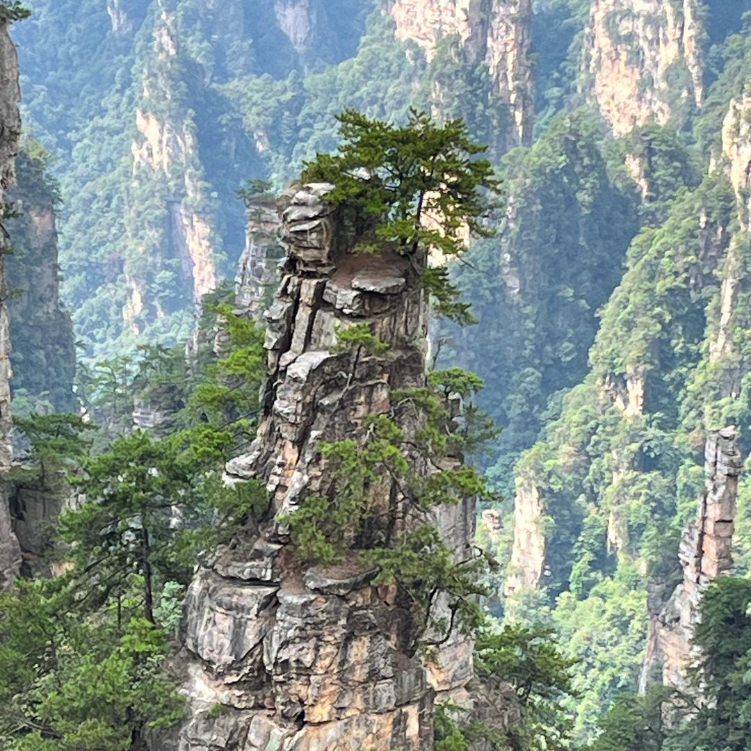 国治