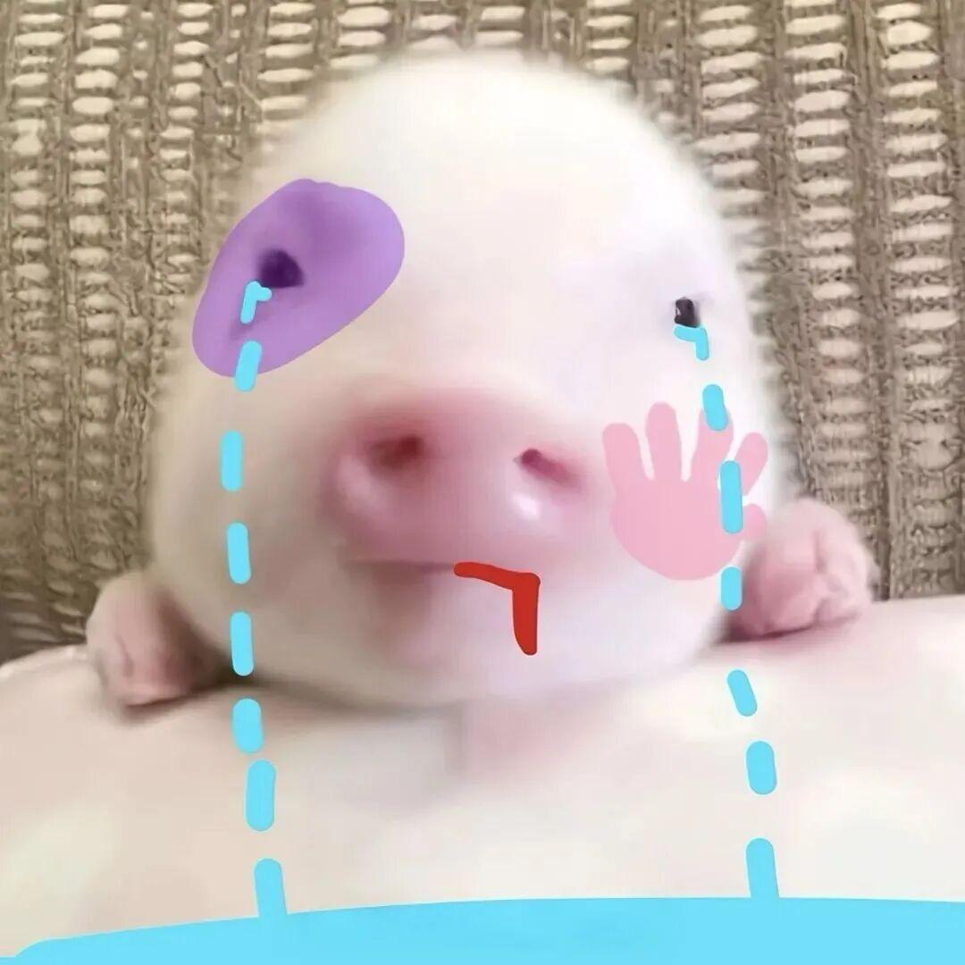 香菜苦瓜汤