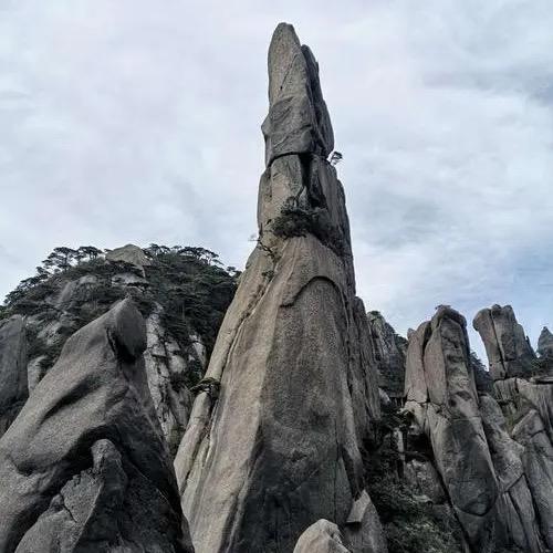 沁园春
