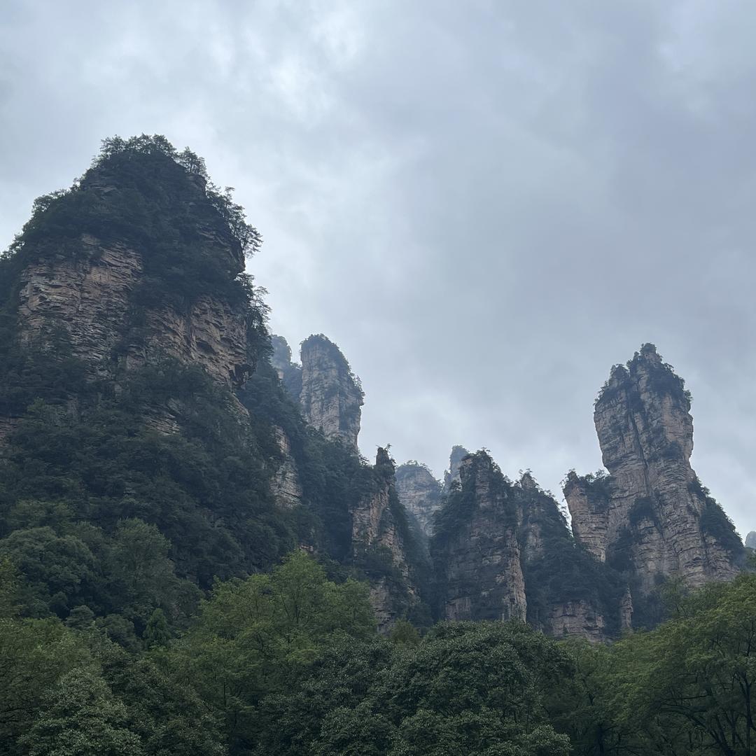 春哥哥