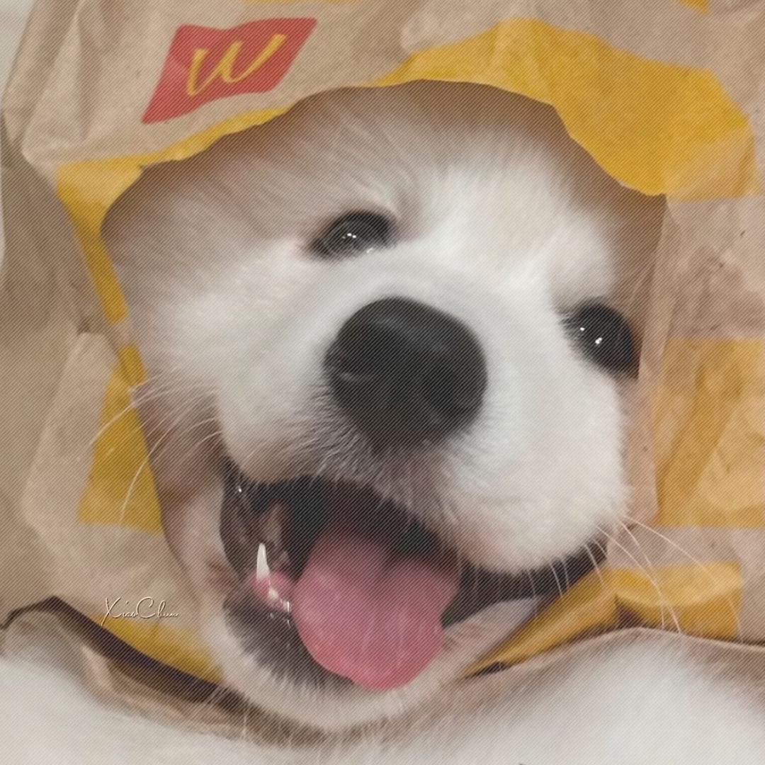 西江月