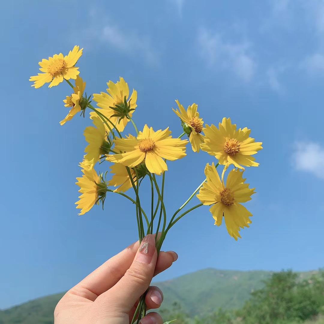 怀旧🌼