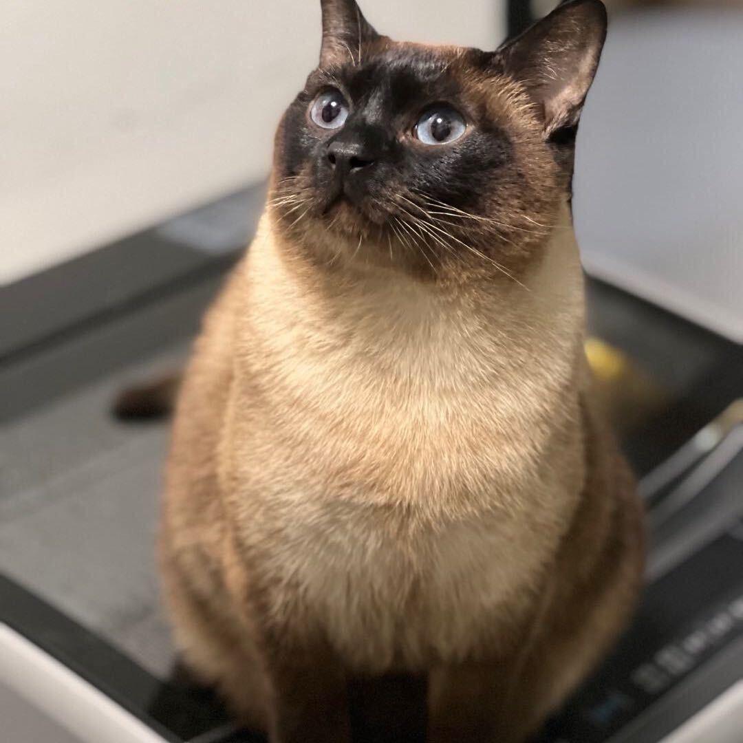 花家土窑焖烤农家院