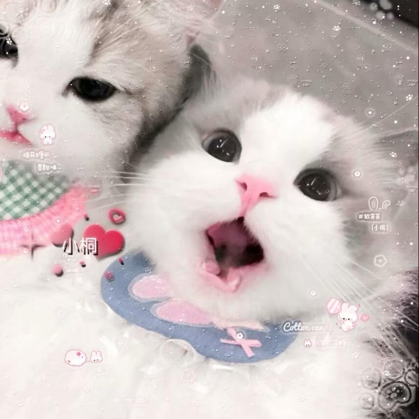 于黄昏消散的风