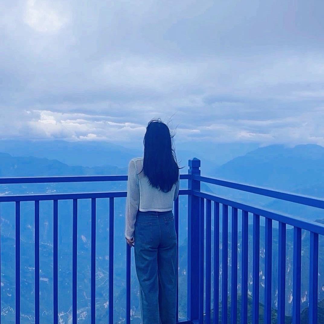 🌻星陈🌻