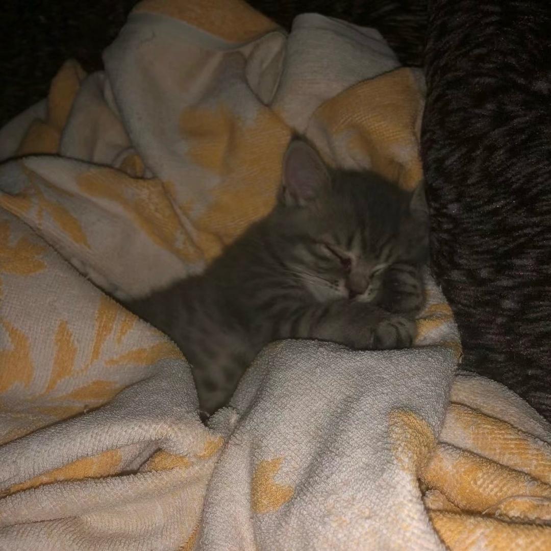 😴