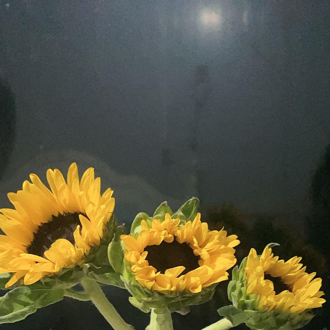 七分饱甜品烘焙