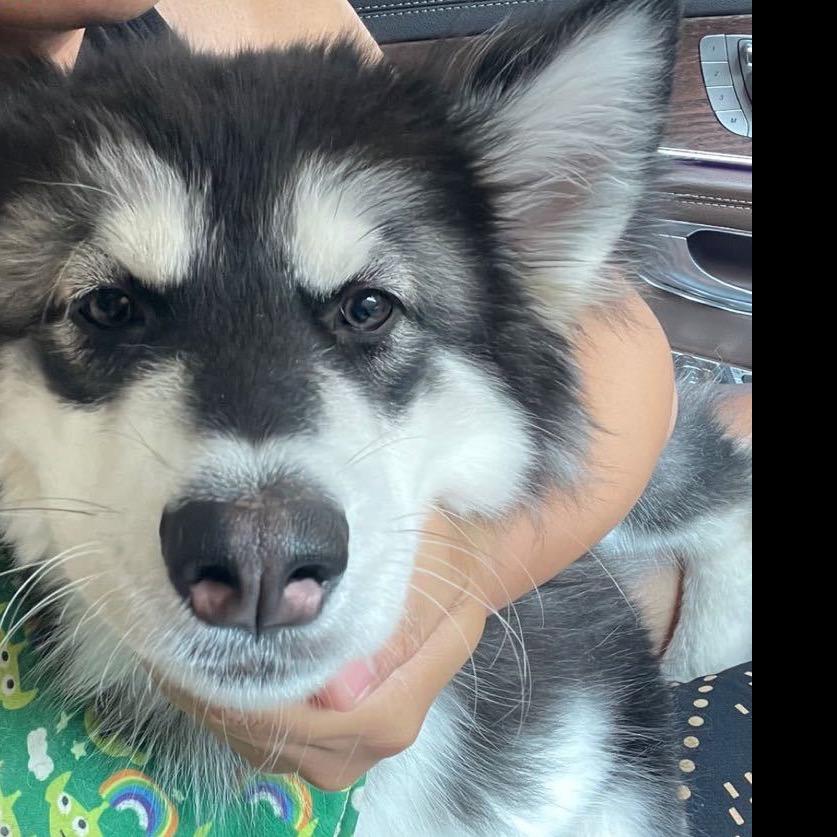 🀄️小白不练腿。