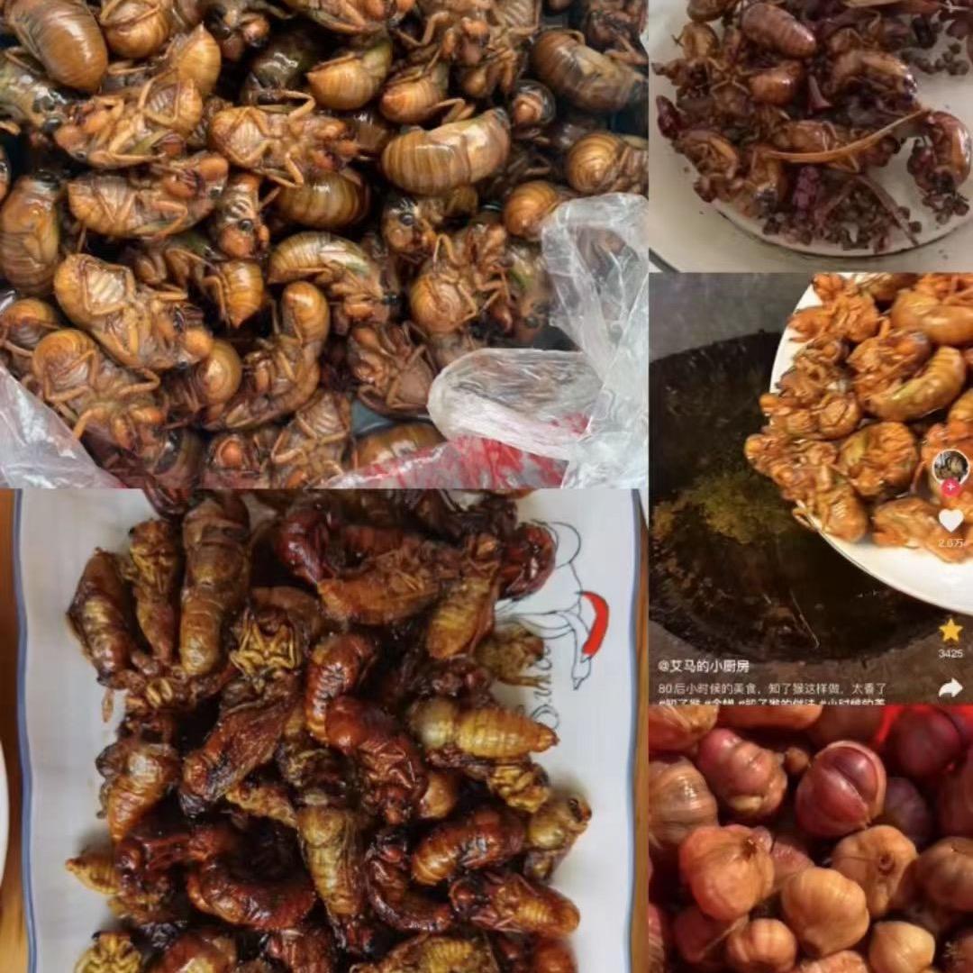 河南开封的坂田联队