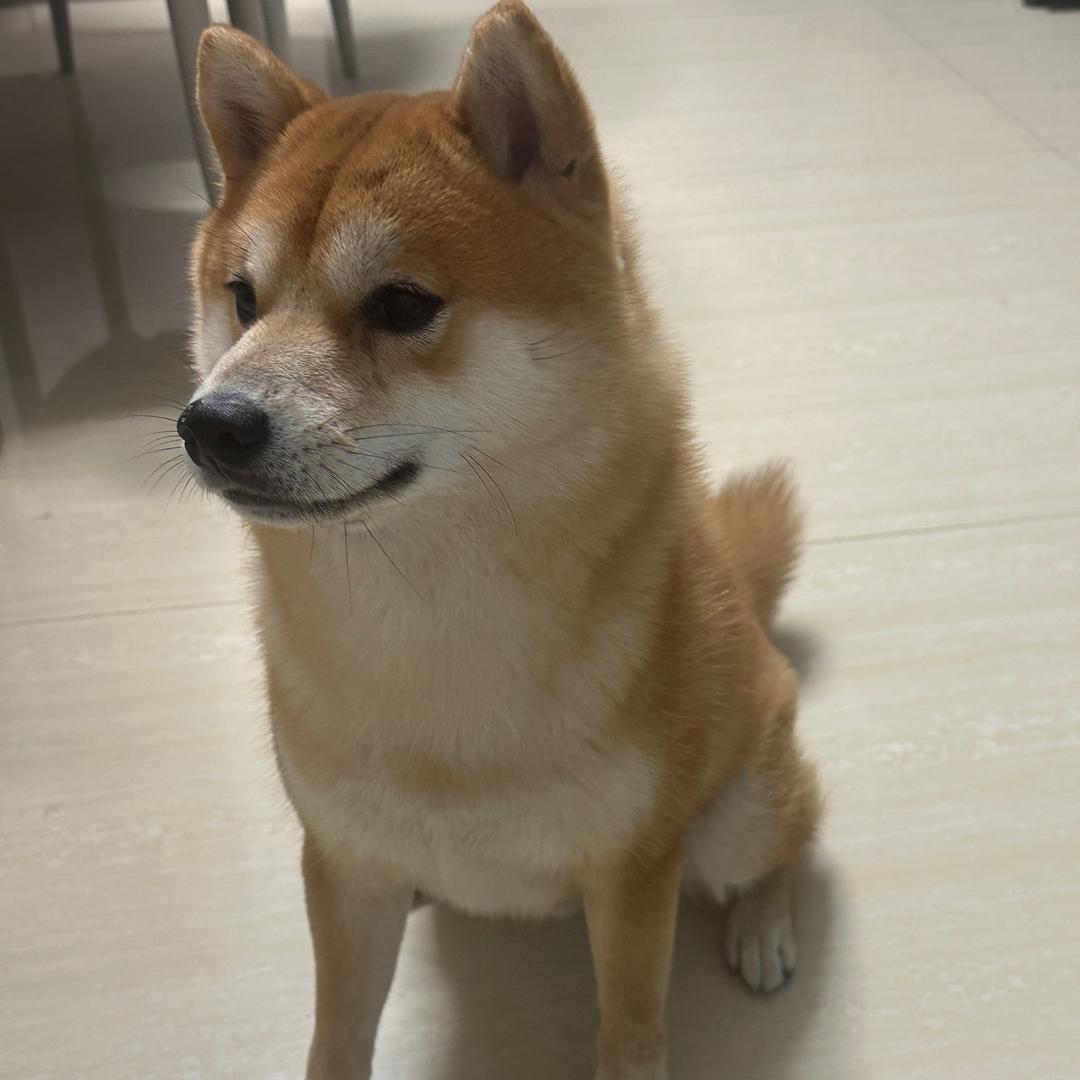 王胖胖