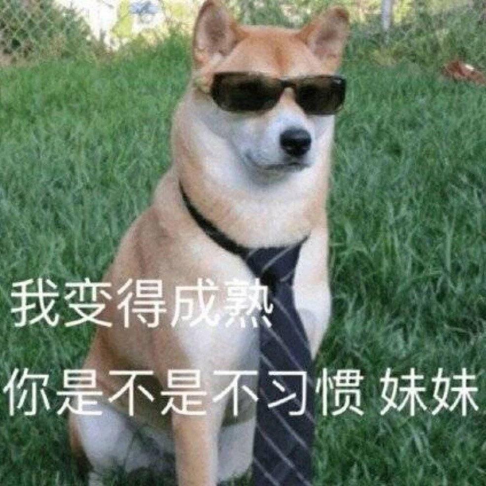 葵葵