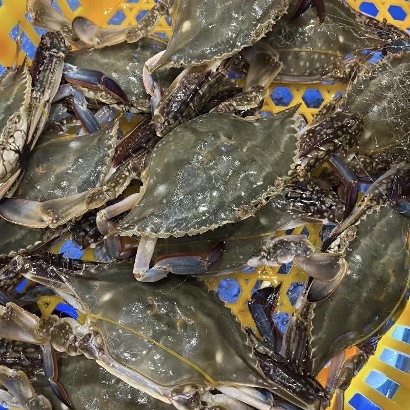 海绿农业科技精选铺子