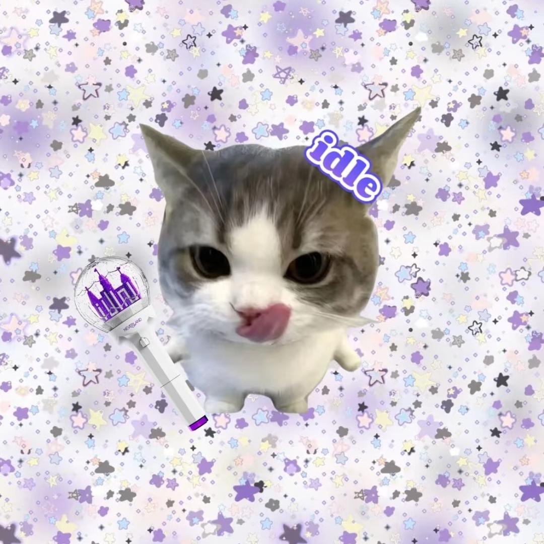 宋雨琦kkk