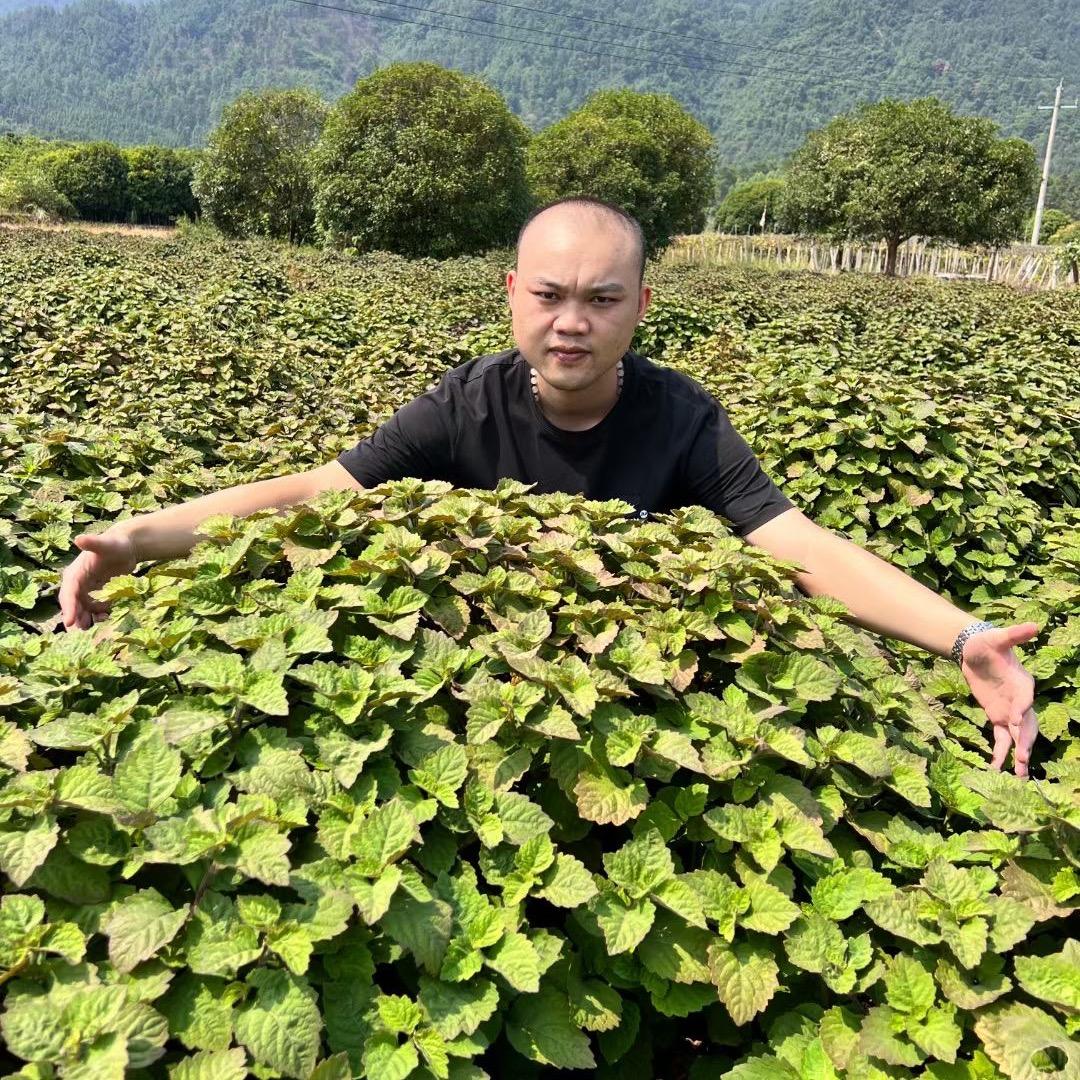 恒盛科技农业
