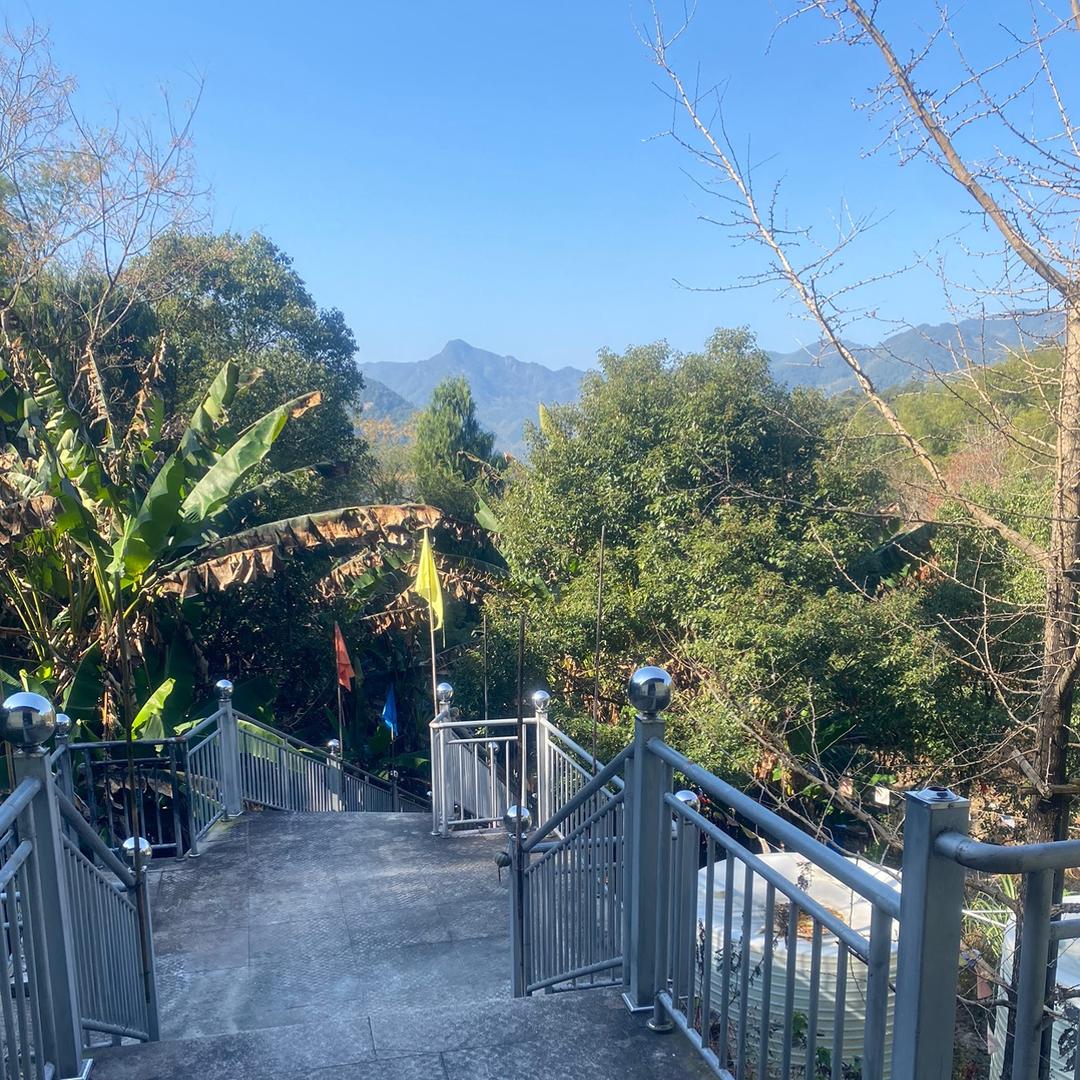 寅糯