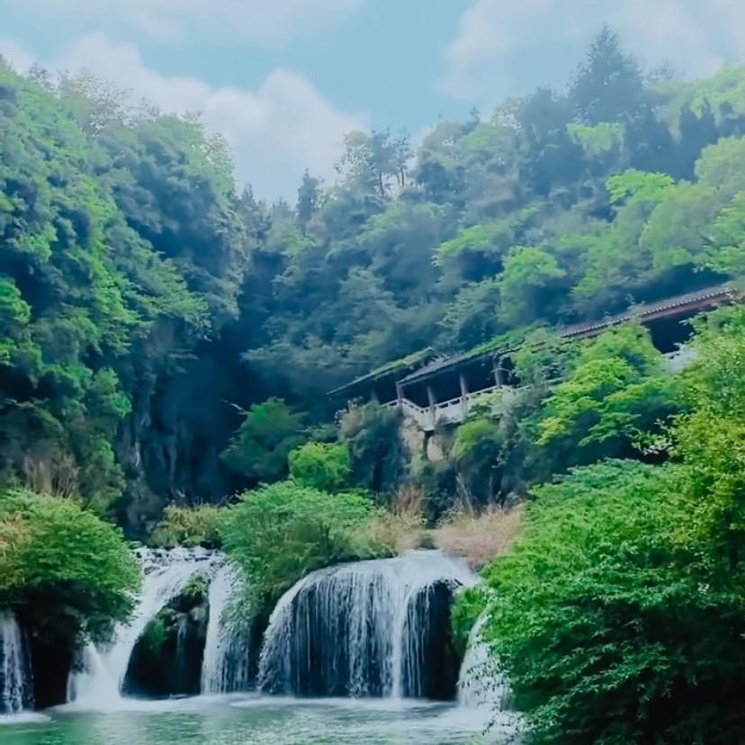 奔跑的小竹