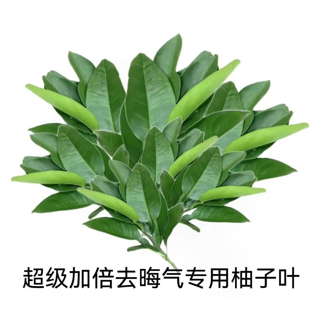 就爱吃香菜-