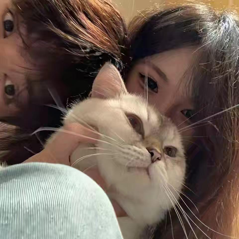 猫哥