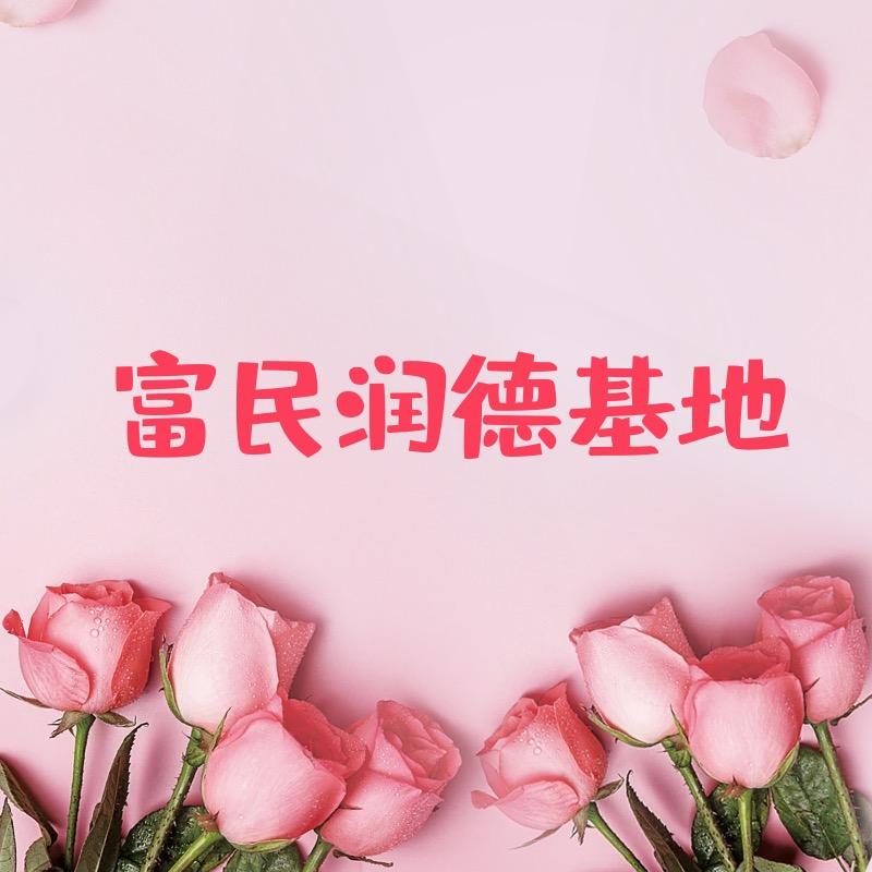富民润德玫瑰基地