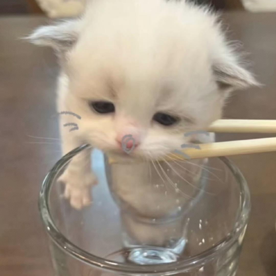对视那一刻