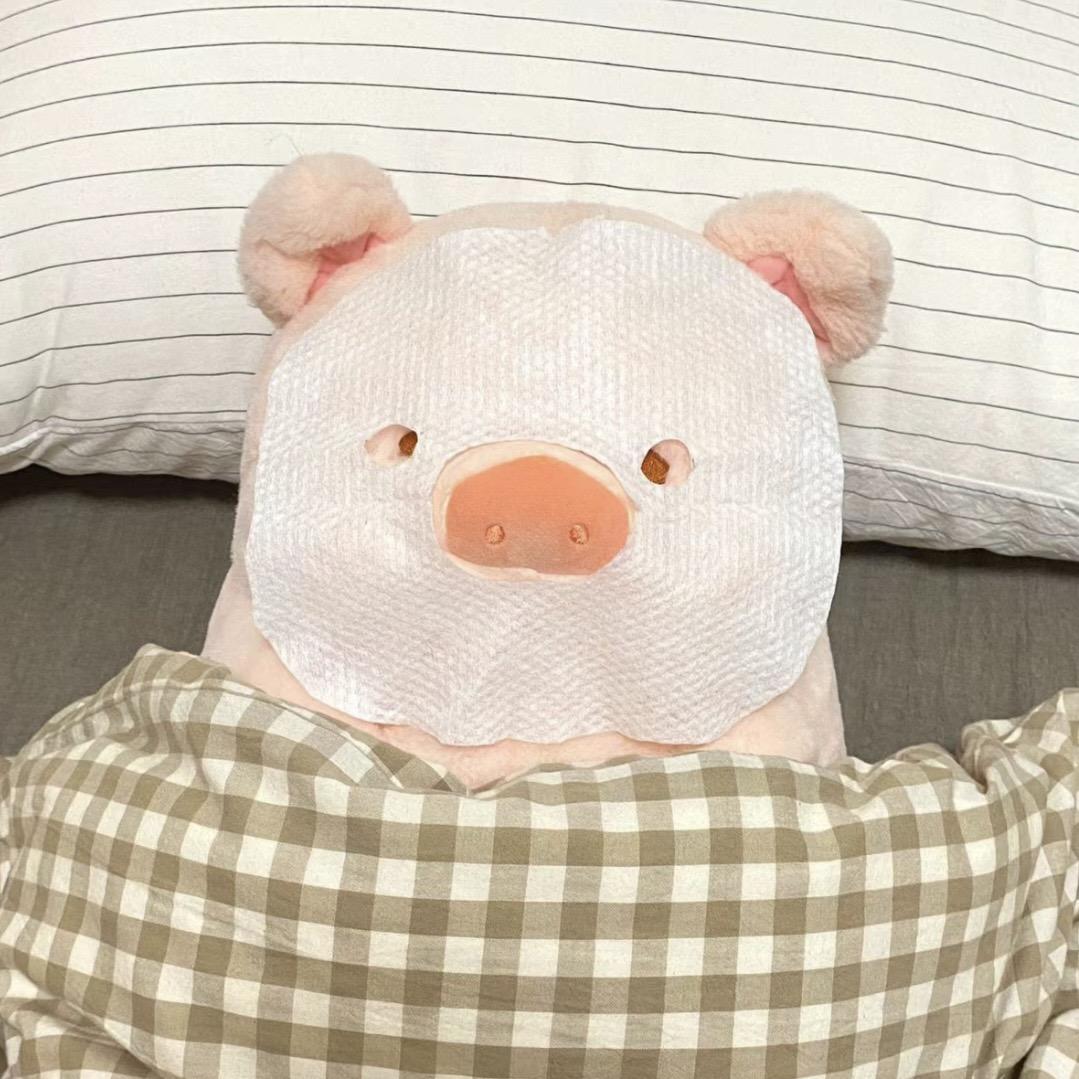 猪猪🐷