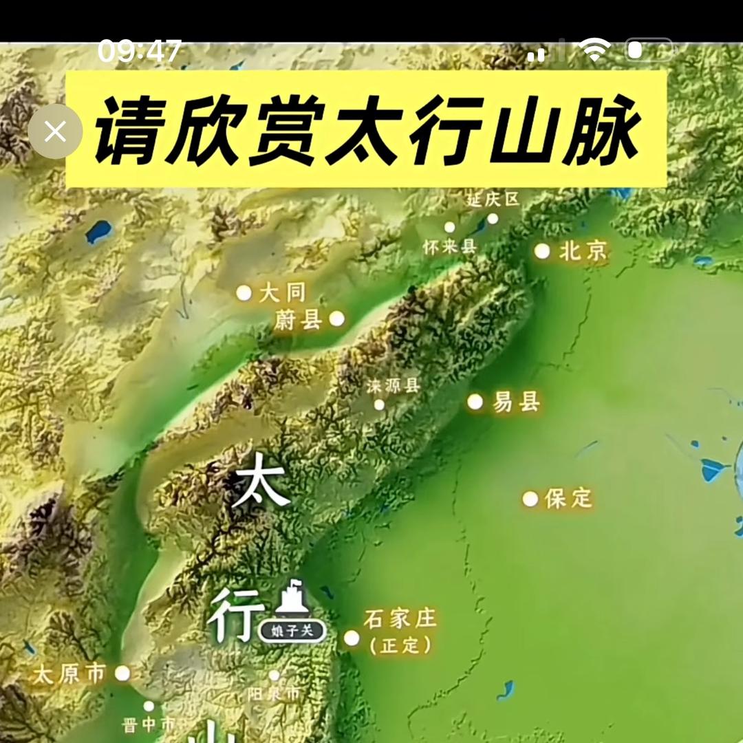 温老大奇石