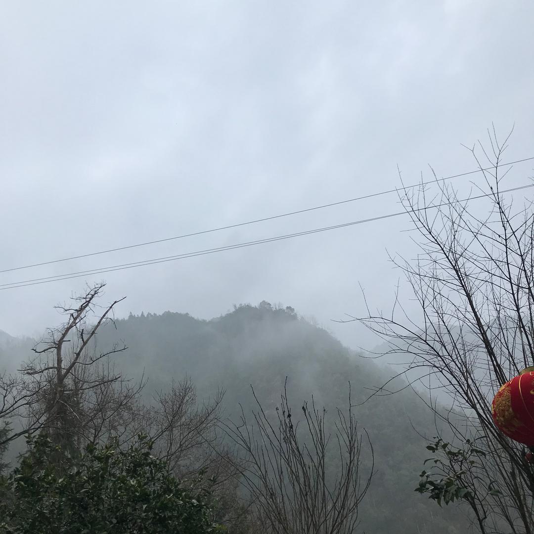 琴姨