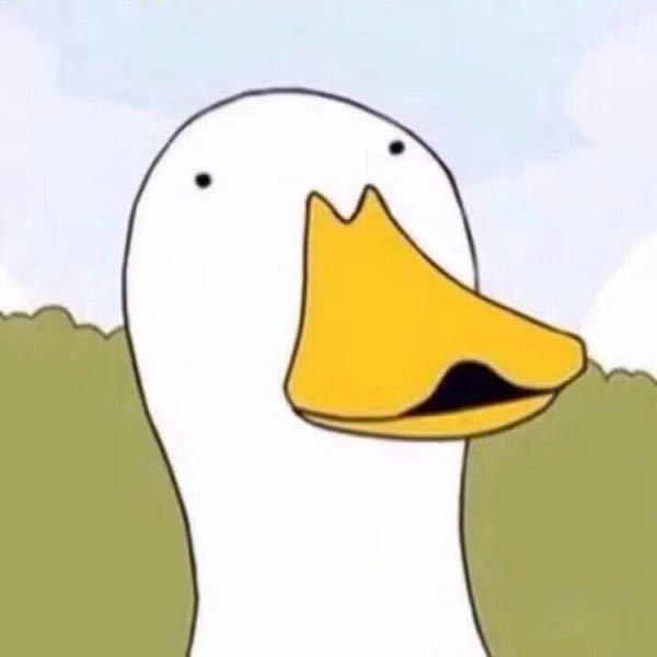 鹏来