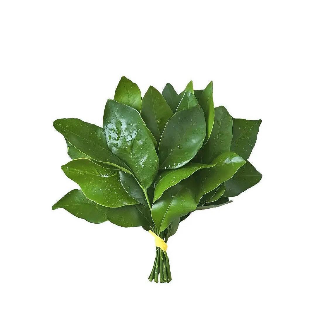包菜