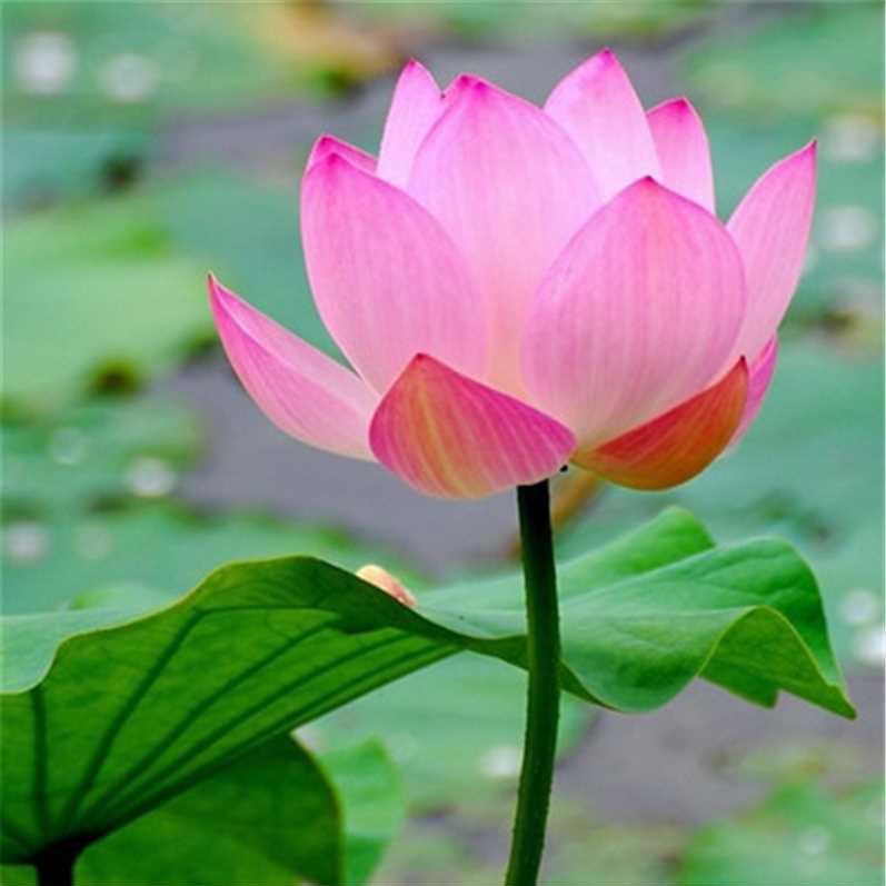 杭健防护臻选阁