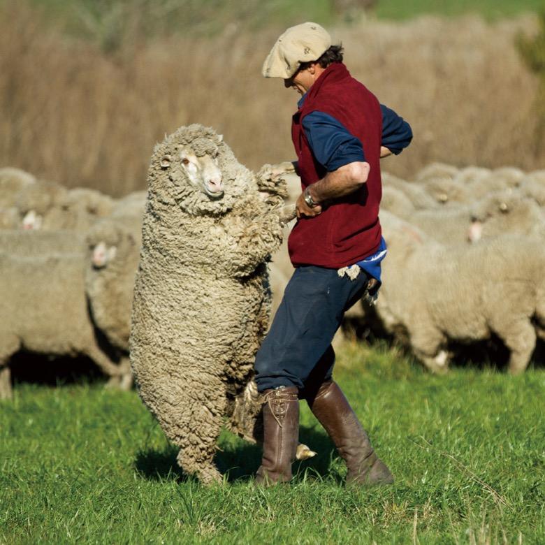 恒源祥和雅专卖店
